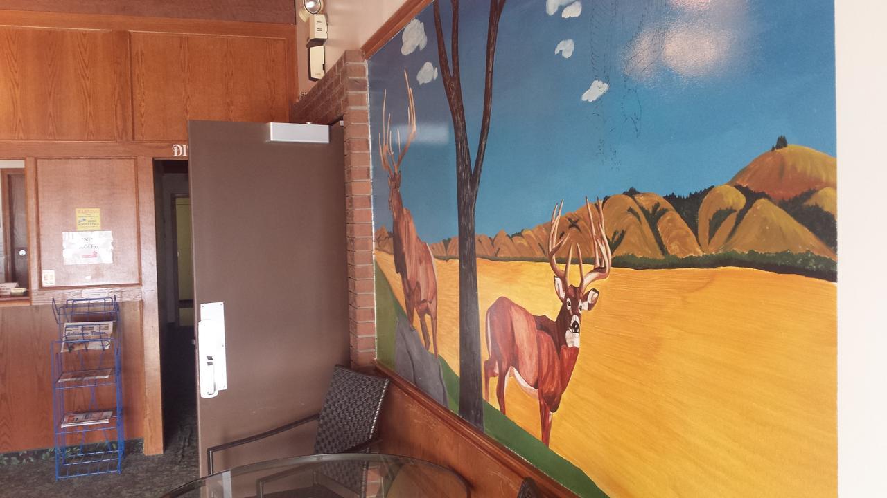 Maple Creek Motor Inn Eksteriør billede